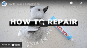 How to Repair a Ripped Dog Toy