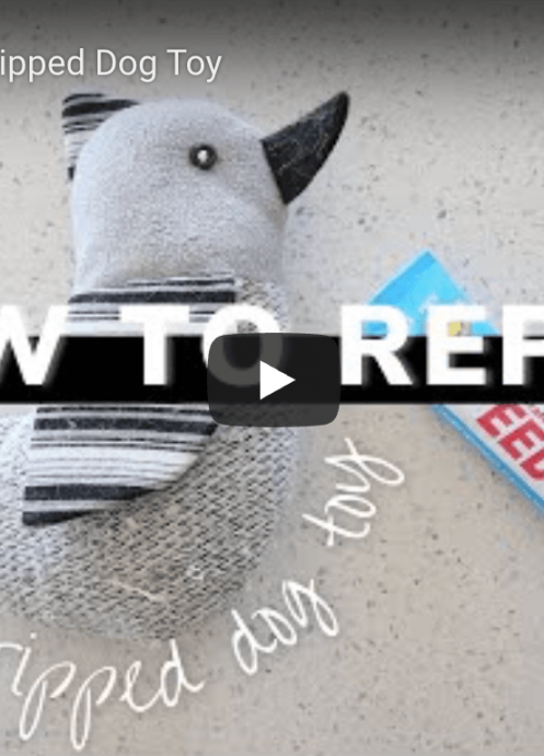 How to Repair a Ripped Dog Toy