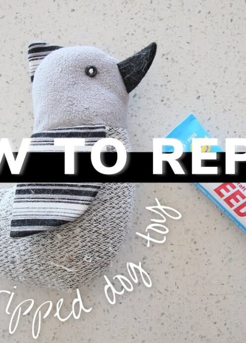 How to Repair a Ripped Dog Toy