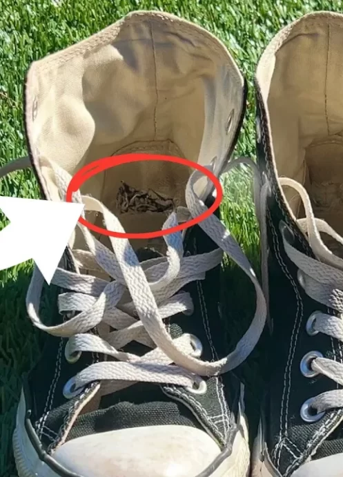 Fix the Worn out Heel in your Converse Shoes